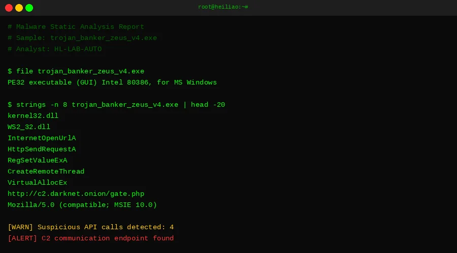 恶意软件静态分析终端输出 - 黑料